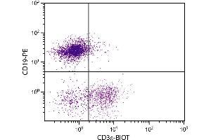 BALB/c mouse splenocytes were stained with Hamster Anti-Mouse CD3ε-BIOT. (CD3 epsilon 抗体  (Biotin))