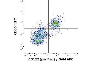 Flow cytometry multicolor surface staining of human CD3 negative lymphocytes stained using anti-human CD122 (TU27) purified antibody (concentration in sample 4 μg/mL, GAM APC) and anti-human CD56 (LT56) PE antibody (10 μL reagent / 100 μL of peripheral whole blood). (IL2 Receptor beta 抗体)