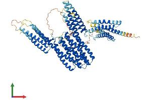 AlphaFold protein structure predicition of Mouse Recombinant Ctnnal1 Protein, UniprotID O88327 (CTNNAL1 Protein (AA 1-731) (His tag))