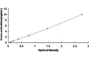 Typical standard curve (FDPS ELISA 试剂盒)