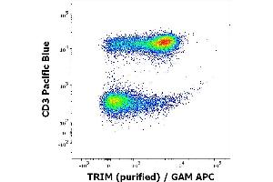 Flow Cytometry (FACS) image for anti-T Cell Receptor Associated Transmembrane Adaptor 1 (TRAT1) (AA 29-186), (Intracellular) antibody (ABIN94489)