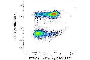 Flow cytometry multicolor intracellular staining of human peripheral whole blood stained using anti-TRIM (TRIM-04) purified antibody (concentration in sample 1 μg/mL, GAM APC) and anti-human CD3 (UCHT1) Pacific Blue antibody (20 μL reagent / 100 μL of peripheral whole blood).