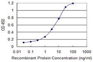 Detection limit for recombinant GST tagged SEC13 is 0. (SEC13 抗体  (AA 226-324))