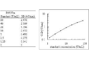 ELISA image for Nitric Oxide Synthase 2, Inducible (NOS2) ELISA Kit (ABIN455420)