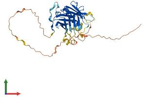 AlphaFold protein structure predicition of Human Recombinant PLSCR1 Protein, UniprotID O15162 (PLSCR1 Protein (AA 1-318) (His tag))