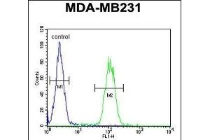 Flow Cytometry (FACS) image for anti-Adaptor Related Protein Complex 1 sigma 1 (AP1S1) (AA 5-34), (N-Term) antibody (ABIN651199)