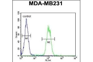 S1 Antibody (N-Term) (ABIN651199 and ABIN2840127) flow cytometric analysis of MDA-M cells (right histogram) compared to a negative control cell (left histogram).