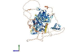 AlphaFold protein structure predicition of Human Recombinant RECQL4 Protein, UniprotID O94761