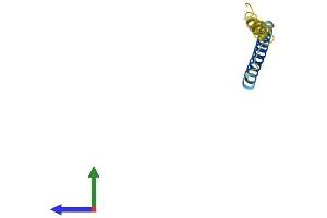 AlphaFold protein structure predicition of Mouse Recombinant Gypc Protein, UniprotID Q78HU7