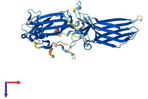 Arrestin 3 Protein (AA 1-410) (His tag)