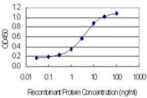 Detection limit for recombinant GST tagged NOP10 is 0. (Nop10 抗体  (AA 1-64))