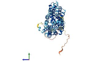 Protein Structure (PS) image for Solute Carrier Family 2 (Facilitated Glucose Transporter) Member 8 (SLC2A8) (AA 1-477) protein (His tag) (ABIN7548114)