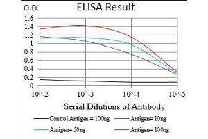 Black line: Control Antigen (100 ng), Purple line: Antigen(10 ng), Blue line: Antigen (50 ng), Red line: Antigen (100 ng), (PON1 抗体  (AA 20-155))