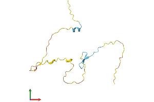 AlphaFold protein structure predicition of Human Recombinant PRR15 Protein, UniprotID Q8IV56 (Proline Rich 15 Protein (PRR15) (AA 1-129) (His tag))