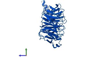 AlphaFold protein structure predicition of Mouse Recombinant Gnb3 Protein, UniprotID Q61011