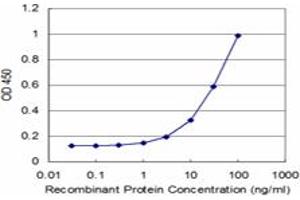 Detection limit for recombinant GST tagged MYL3 is approximately 3ng/ml as a capture antibody. (MYL3/CMLC1 抗体  (AA 1-195))