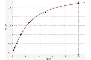Transcobalamin II (TCN2) ELISA Kit