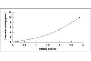 Typical standard curve (PRKAR2B ELISA 试剂盒)