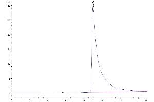 The purity of Mouse APOA2 is greater than 95 % as determined by SEC-HPLC.
