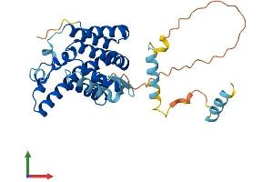 Protein Structure (PS) image for Rhomboid Domain Containing 1 (RHBDD1) (AA 1-315) protein (His tag) (ABIN7555172)