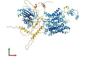 Protein Structure (PS) image for Solute Carrier Family 4, Sodium Bicarbonate Cotransporter, Member 8 (SLC4A8) (AA 1-1089) protein (His tag) (ABIN7564608)