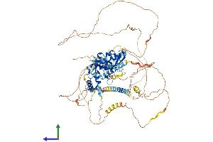 AlphaFold protein structure predicition of Human Recombinant IRF2BPL Protein, UniprotID Q9H1B7