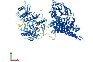 Protein Structure (PS) image for Acyl-CoA Dehydrogenase Family, Member 11 (ACAD11) (AA 1-780) protein (His tag) (ABIN7551923)