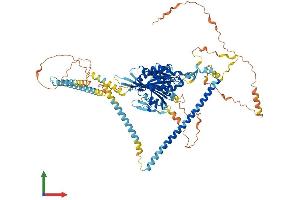 Protein Structure (PS) image for Kinesin Family Member 3C (KIF3C) (AA 1-796) protein (His tag) (ABIN7562260)