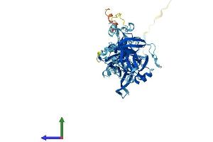 Protein Structure (PS) image for 60S Ribosomal Export Protein NMD3 (NMD3) (AA 1-503) protein (His tag) (ABIN7549887)