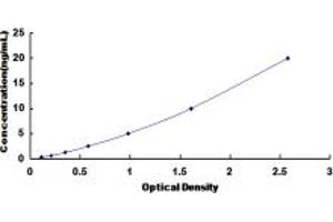 Typical standard curve (PLCz1 ELISA 试剂盒)