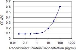 Detection limit for recombinant GST tagged LIPG is 3 ng/ml as a capture antibody. (LIPG 抗体  (AA 21-500))