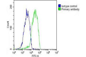 Overlay histogram showing HepG2 cells stained with Antibody (green line). (LGR5 抗体  (AA 689-719))