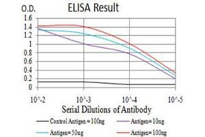 Black line: Control Antigen (100 ng),Purple line: Antigen (10 ng), Blue line: Antigen (50 ng), Red line:Antigen (100 ng) (RAN 抗体  (AA 1-216))
