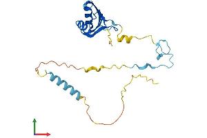 Protein Structure (PS) image for Zinc Finger CCHC-Type and RNA Binding Motif 1 (ZCRB1) (AA 1-217) protein (His tag) (ABIN7545248)