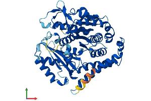 AlphaFold protein structure predicition of Mouse Recombinant Tubb2a Protein, UniprotID Q7TMM9