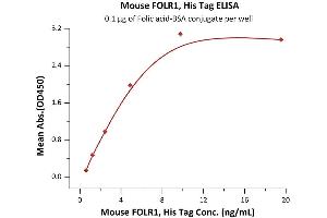ELISA image for Folate Receptor 1 (Adult) (FOLR1) (AA 25-232) (Active) protein (His tag) (ABIN5526656)