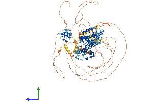 AlphaFold protein structure predicition of Mouse Recombinant Map3k21 Protein, UniprotID Q8VDG6