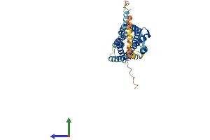 Protein Structure (PS) image for Chemokine Binding Protein 2 (CCBP2) (AA 1-384) protein (His tag) (ABIN7551853)