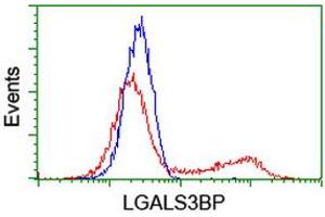 HEK293T cells transfected with either RC204918 overexpress plasmid (Red) or empty vector control plasmid (Blue) were immunostained by anti-LGALS3BP antibody (ABIN2454972), and then analyzed by flow cytometry. (LGALS3BP 抗体  (AA 19-300))