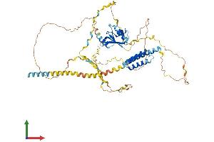 AlphaFold protein structure predicition of Human Recombinant CPSF6 Protein, UniprotID Q16630