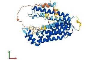 AlphaFold protein structure predicition of Human Recombinant PDSS2 Protein, UniprotID Q86YH6 (PDSS2 Protein (AA 1-399) (His tag))