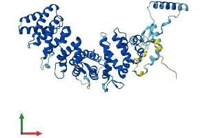 AlphaFold protein structure predicition of Mouse Recombinant Ric8a Protein, UniprotID Q3TIR3 (RIC8A Protein (AA 1-530) (His tag))