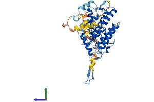 Protein Structure (PS) image for Organic Solute Carrier Partner 1 (OSCP1) (AA 1-379) protein (His tag) (ABIN7558659)