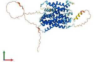 Protein Structure (PS) image for Solute Carrier Family 38, Member 2 (SLC38A2) (AA 1-506) protein (His tag) (ABIN7555404)