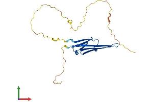 Protein Structure (PS) image for Heat Shock 22kDa Protein 8 (HSPB8) (AA 1-196) protein (His tag) (ABIN7548451)