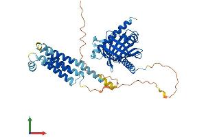 Protein Structure (PS) image for StAR-Related Lipid Transfer (START) Domain Containing 3 (STARD3) (AA 1-445) protein (His tag) (ABIN7544035)