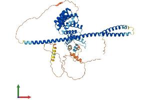 Protein Structure (PS) image for Kinesin Light Chain 2 (KLC2) (AA 1-599) protein (His tag) (ABIN7562604)