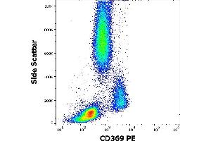 Flow cytometry surface staining pattern of human peripheral whole blood stained using anti-human CD369 (15E2) PE antibody (10 μL reagent / 100 μL of peripheral whole blood). (CLEC7A 抗体  (PE))