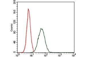 Flow cytometric analysis of MCF-7 cells using CEBPA mouse mAb (green) and negative control (red). (CEBPA 抗体)