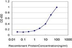 Detection limit for recombinant GST tagged SSH3 is approximately 0. (SSH3 抗体  (AA 293-391))